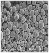 星空官方網(wǎng)頁版