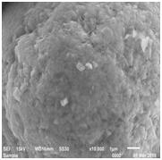 星空官方網(wǎng)頁版