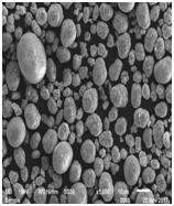 星空官方網(wǎng)頁版