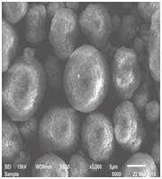 星空官方網(wǎng)頁版